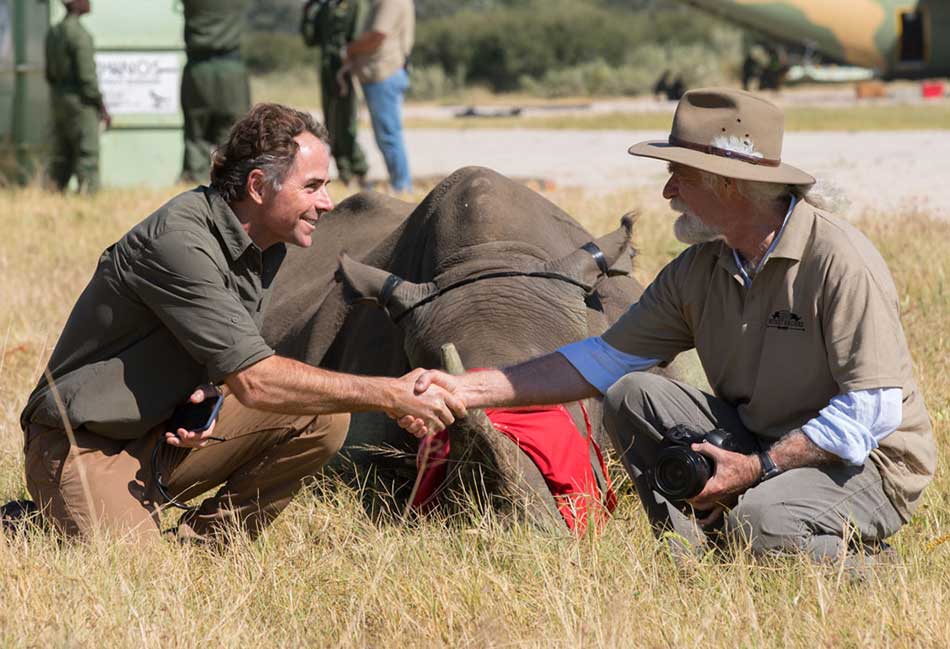Joss Kent and Derek Joubert shaking hands and celebrating the successful release of a batch of rhinos in Botswana – courtesy of David Murray