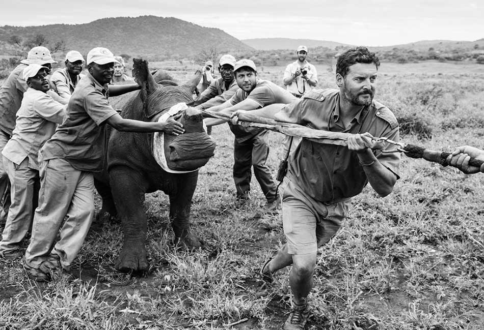 Rhino Without Borders team in action – courtesy of Charlie Dailey