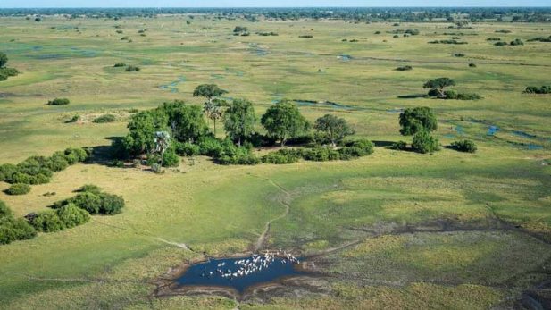 Why Botswana's Gone Green